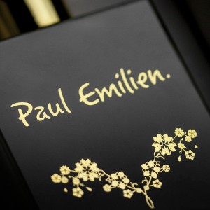 Il magico mondo di Paul Emilien