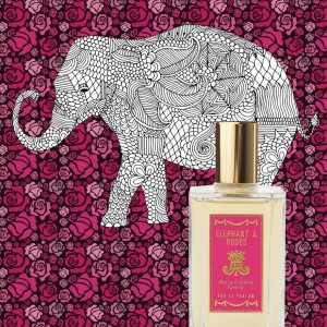 Maria Candida Gentile – Elephant & Roses