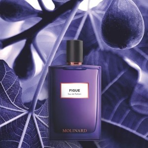 Figue & Violette by Molinard